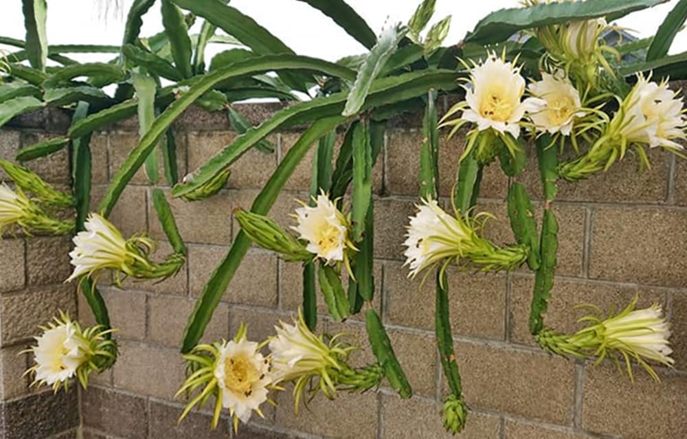 8972