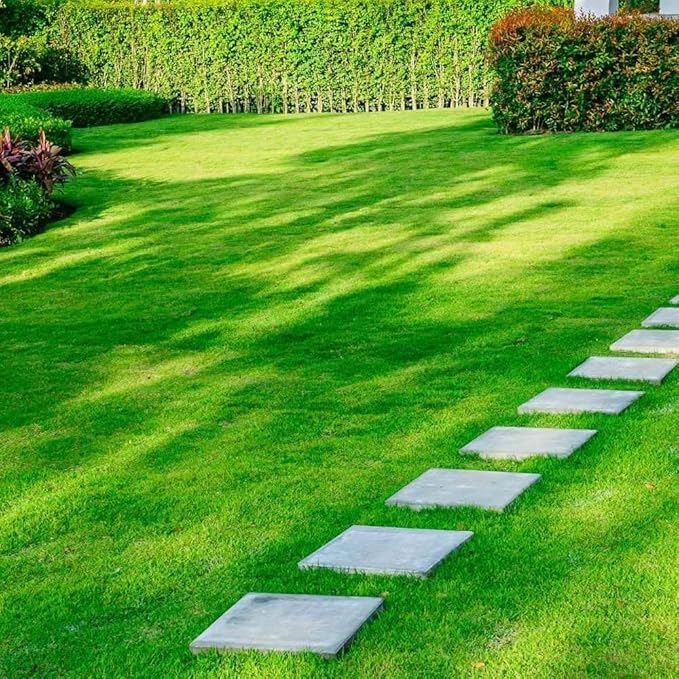 8977